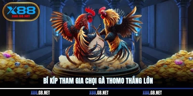 Bí kíp tham gia chọi gà Thomo thắng lớn