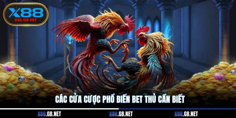 Các cửa cược phổ biến bet thủ cần biết