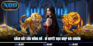 Cách Bắt Cầu Rồng Hổ – Bí Quyết Đọc Nhịp Bài Chuẩn