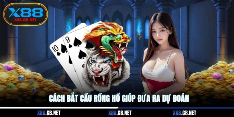 Cách bắt cầu Rồng Hổ giúp đưa ra dự đoán Cách bắt cầu Rồng Hổ giúp đưa ra dự đoán