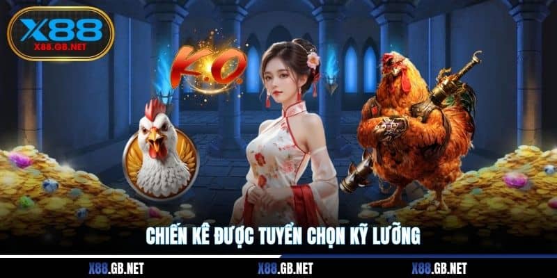 Chiến kê được tuyển chọn kỹ lưỡng Chiến kê được tuyển chọn kỹ lưỡng