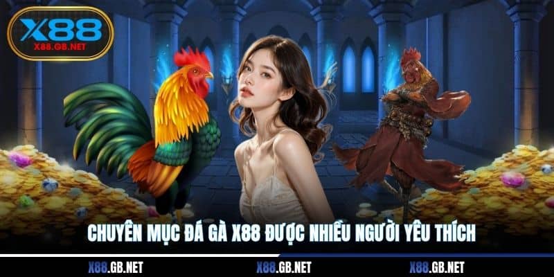 Chuyên mục đá gà X88 được nhiều người yêu thích