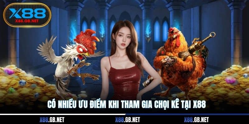 Có nhiều ưu điểm khi tham gia chọi kê tại X88