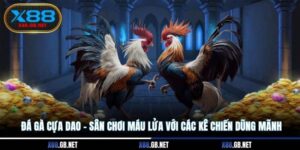 Đá Gà Cựa Dao - Sân Chơi Máu Lửa Với Các Kê Chiến Dũng Mãnh