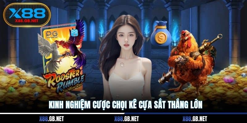 Kinh nghiệm cược chọi kê cựa sắt thắng lớn Kinh nghiệm cược chọi kê cựa sắt thắng lớn