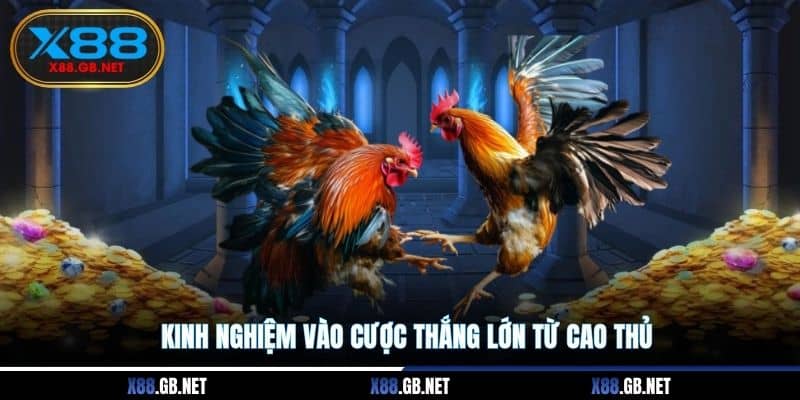 Kinh nghiệm vào cược thắng lớn từ cao thủ