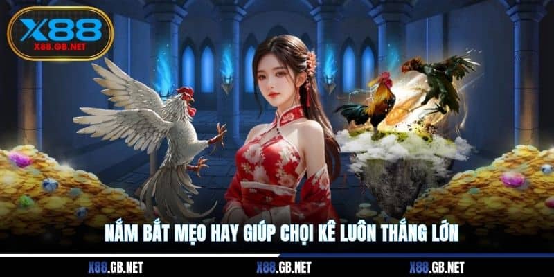 Nắm bắt mẹo hay giúp chọi kê luôn thắng lớn