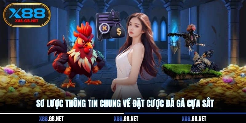 Sơ lược thông tin chung về đặt cược đá gà cựa sắt Sơ lược thông tin chung về đặt cược đá gà cựa sắt